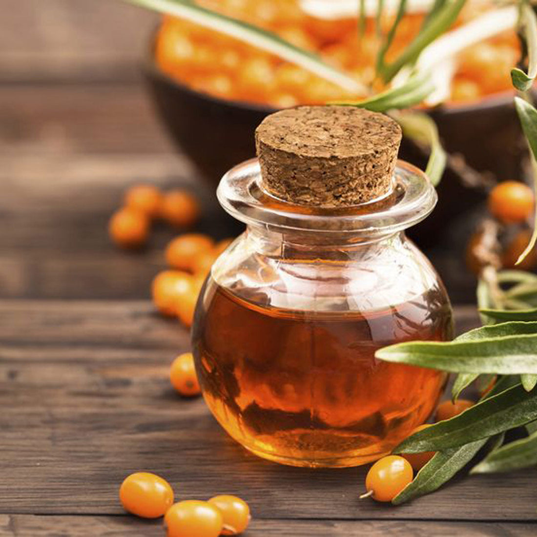 Sea buckthorn & oil recipes