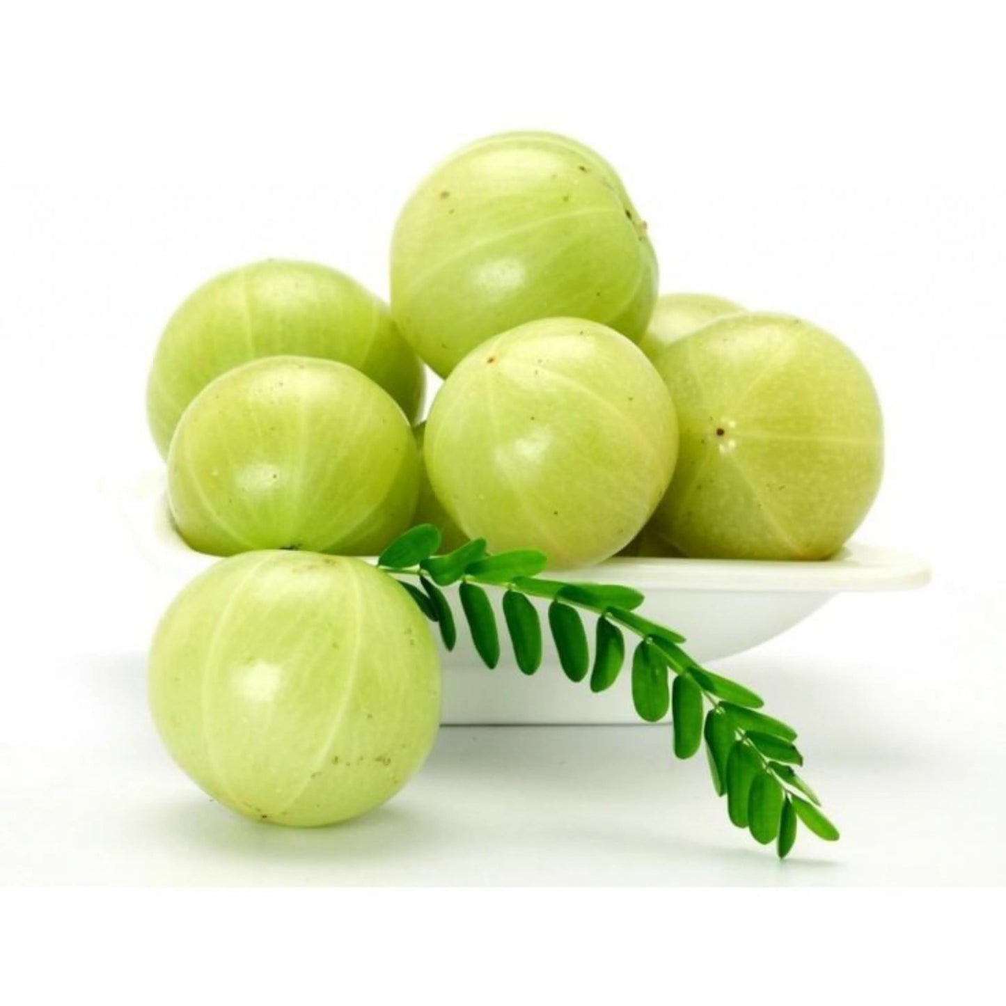 Amla_Oil_1