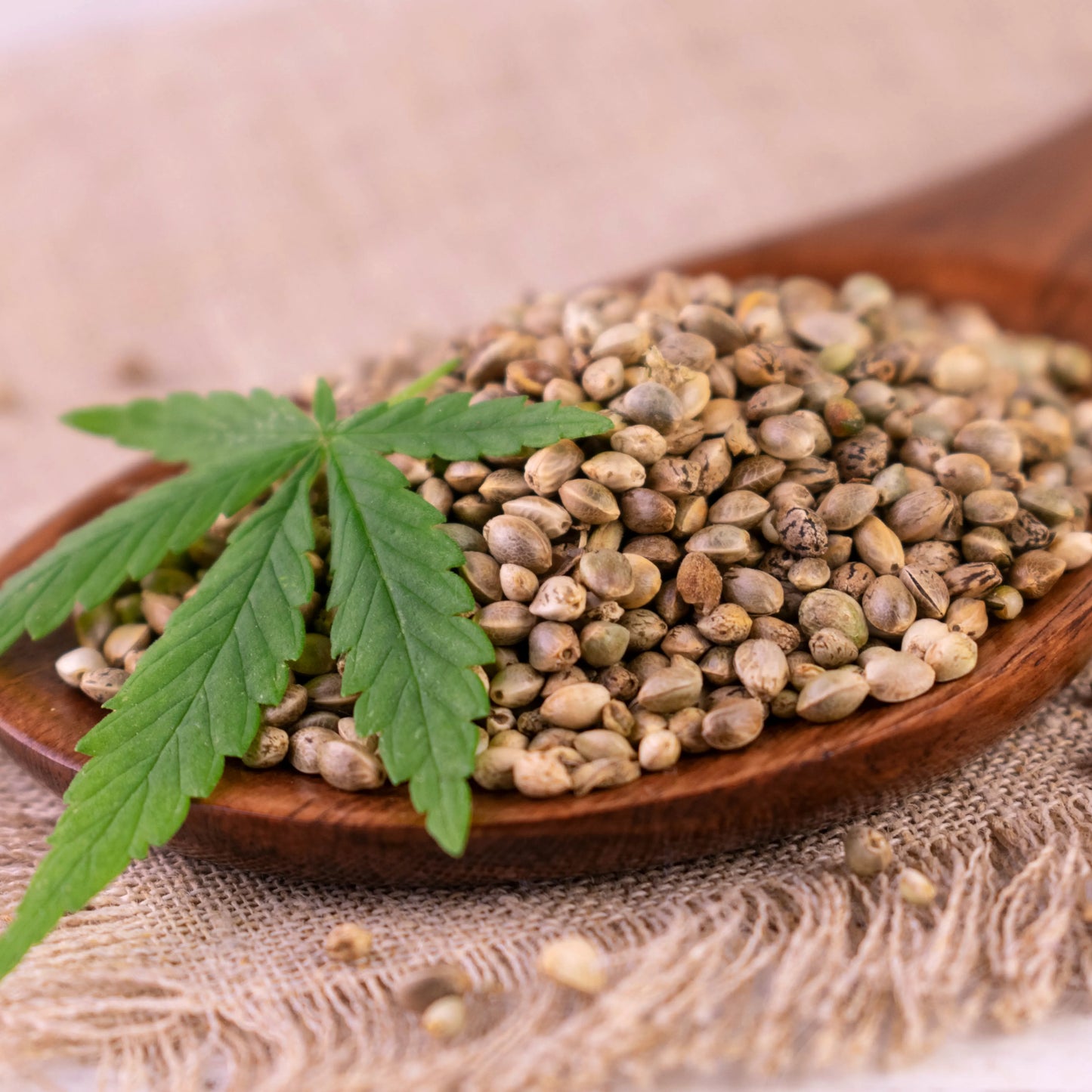 Hemp_Seed_Oil_2