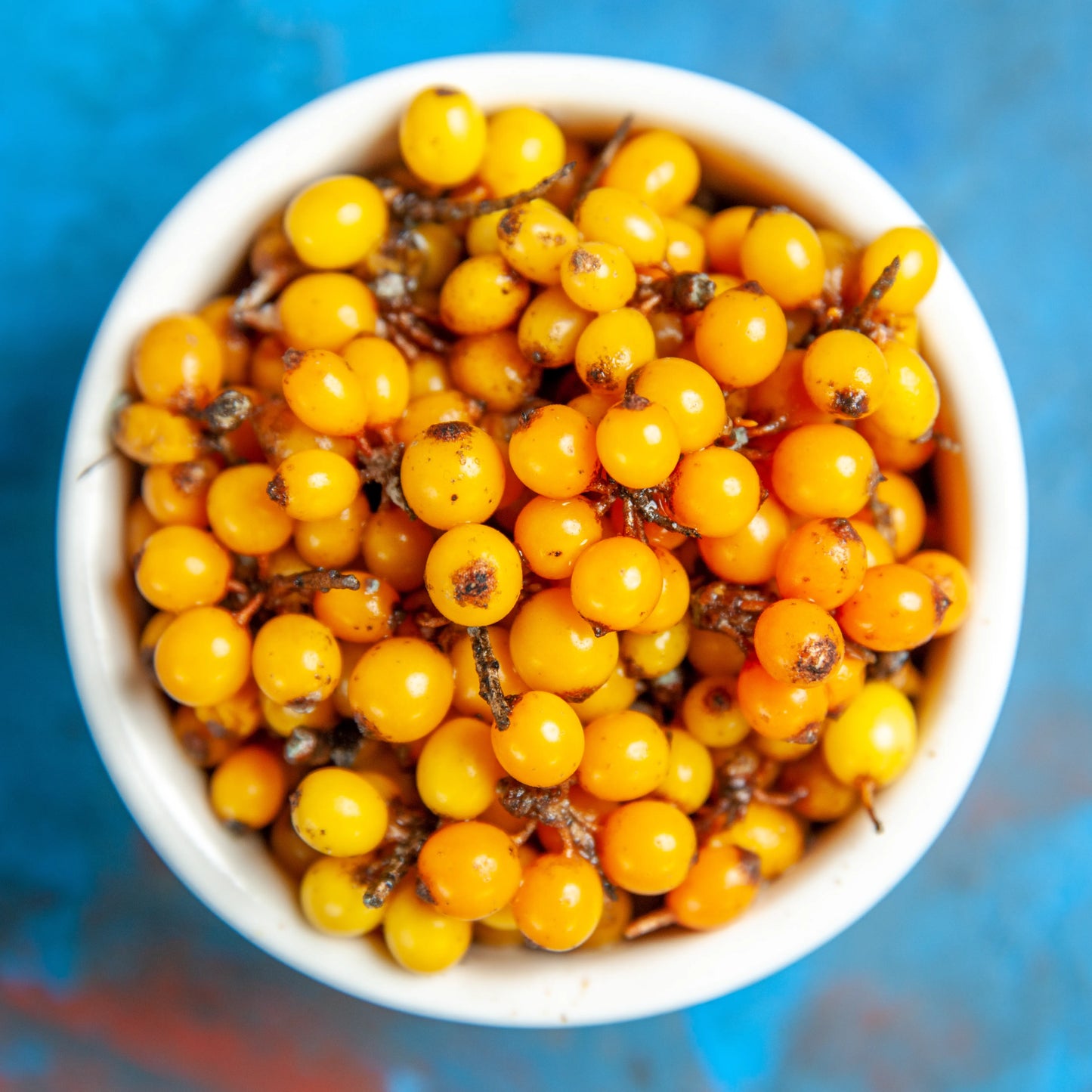 Sea_Buckthorn_Fruit_Pulp_Oil_1