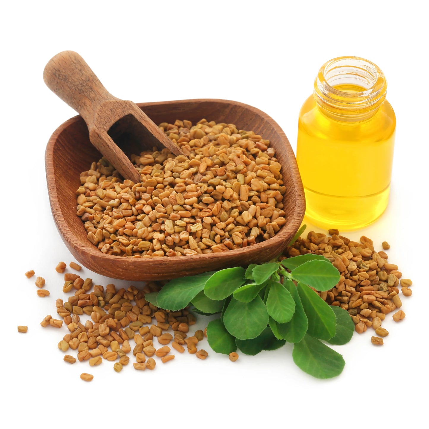 Fenugreek_Seed_Oil_1