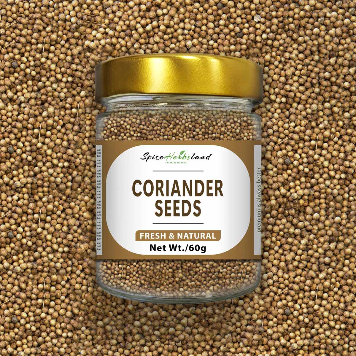 Coriander_seeds_SH16