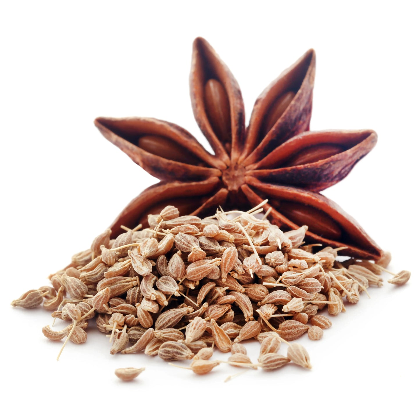Anise_Seeds_1
