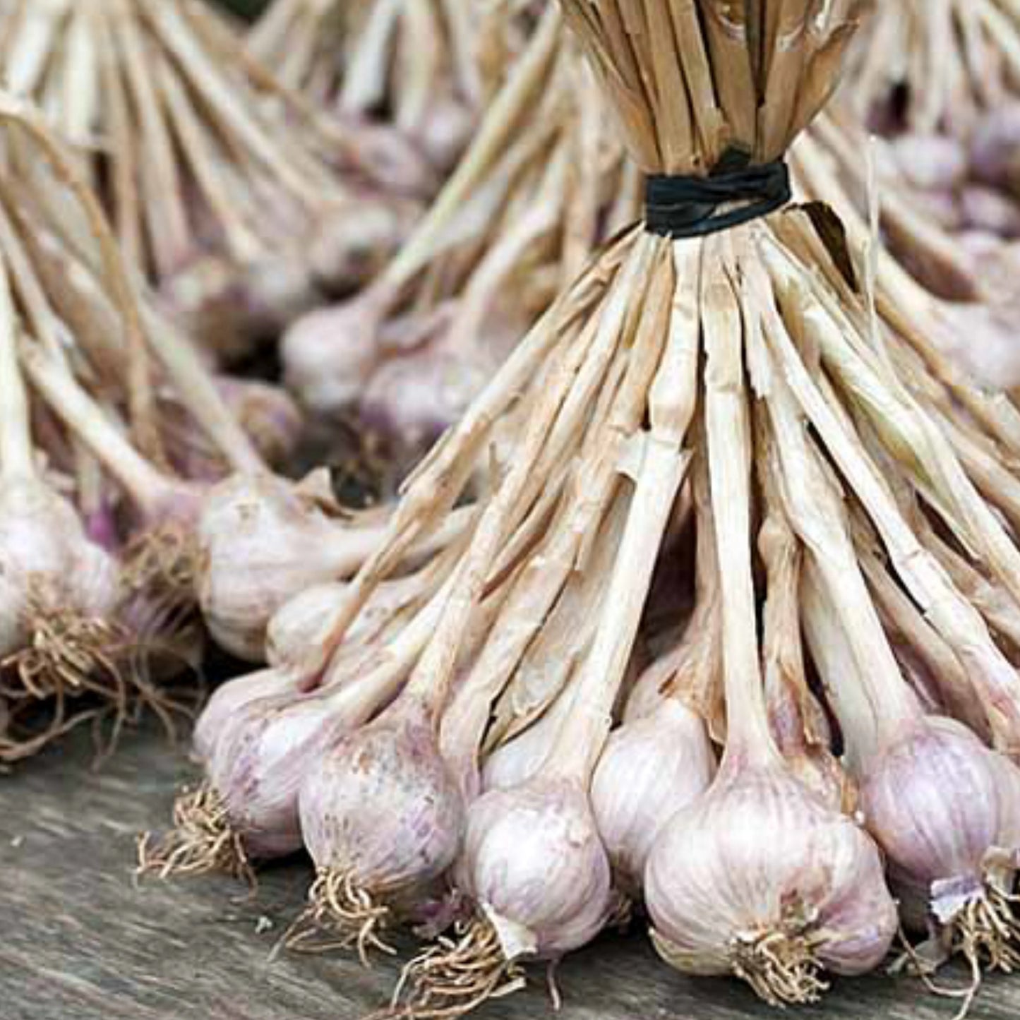 Garlic_granules_8-16_mesh_2